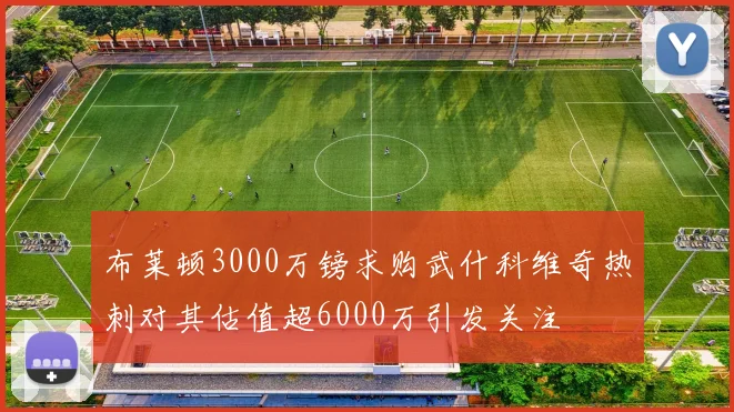 布莱顿3000万镑求购武什科维奇热刺对其估值超6000万引发关注
